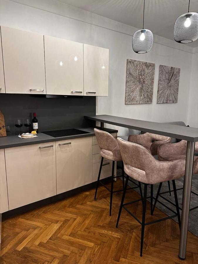 Riverside Apartment Karlovy Vary Dış mekan fotoğraf